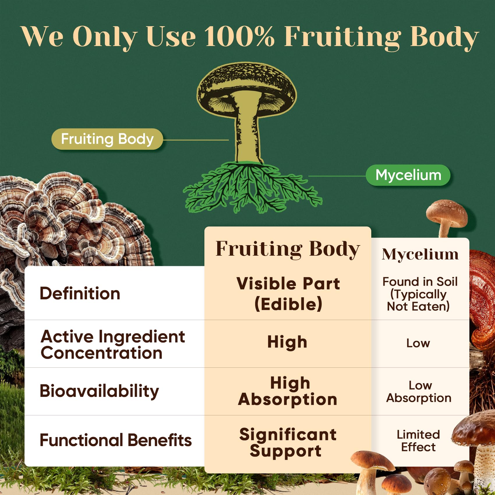 Venture Pal daily wellness setup showcasing simple, routine-friendly supplement.