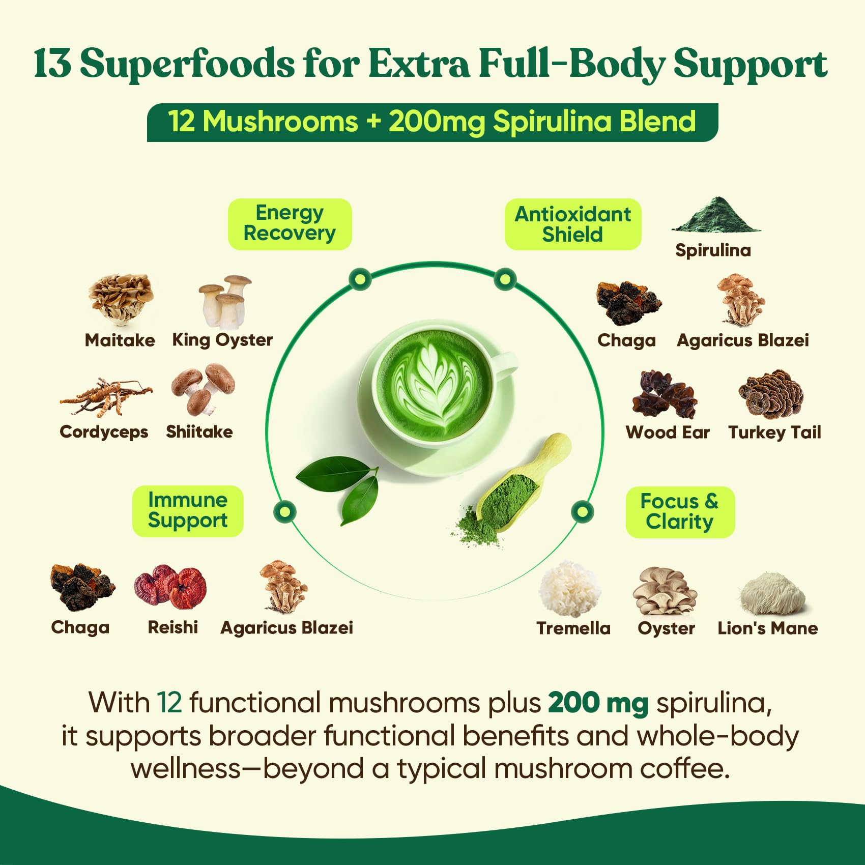 Venture Pal scoop with mushroom matcha powder for easy, consistent servings.