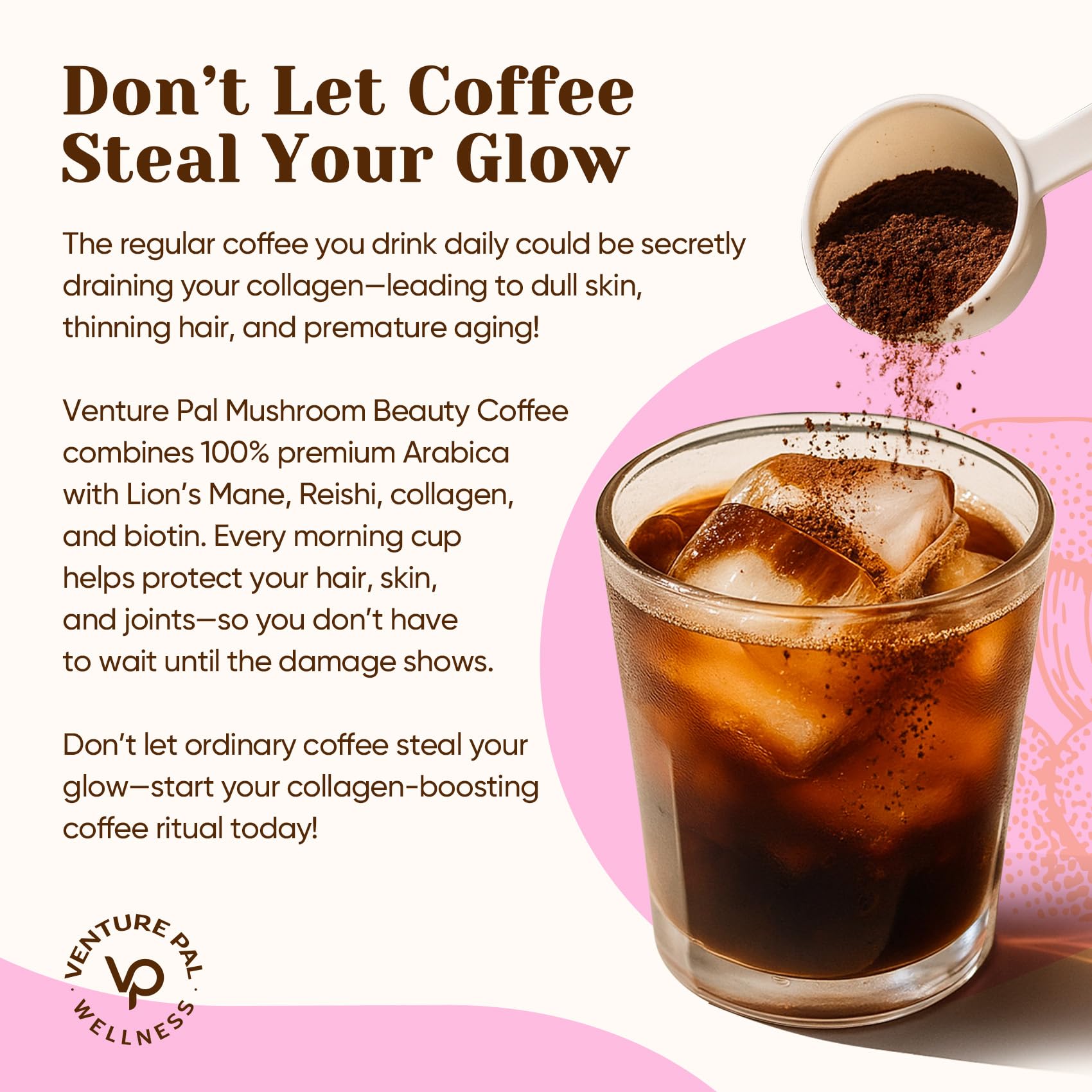 Venture Pal Premium Mushroom Coffee packaging emphasizes clean, toxin-free branding