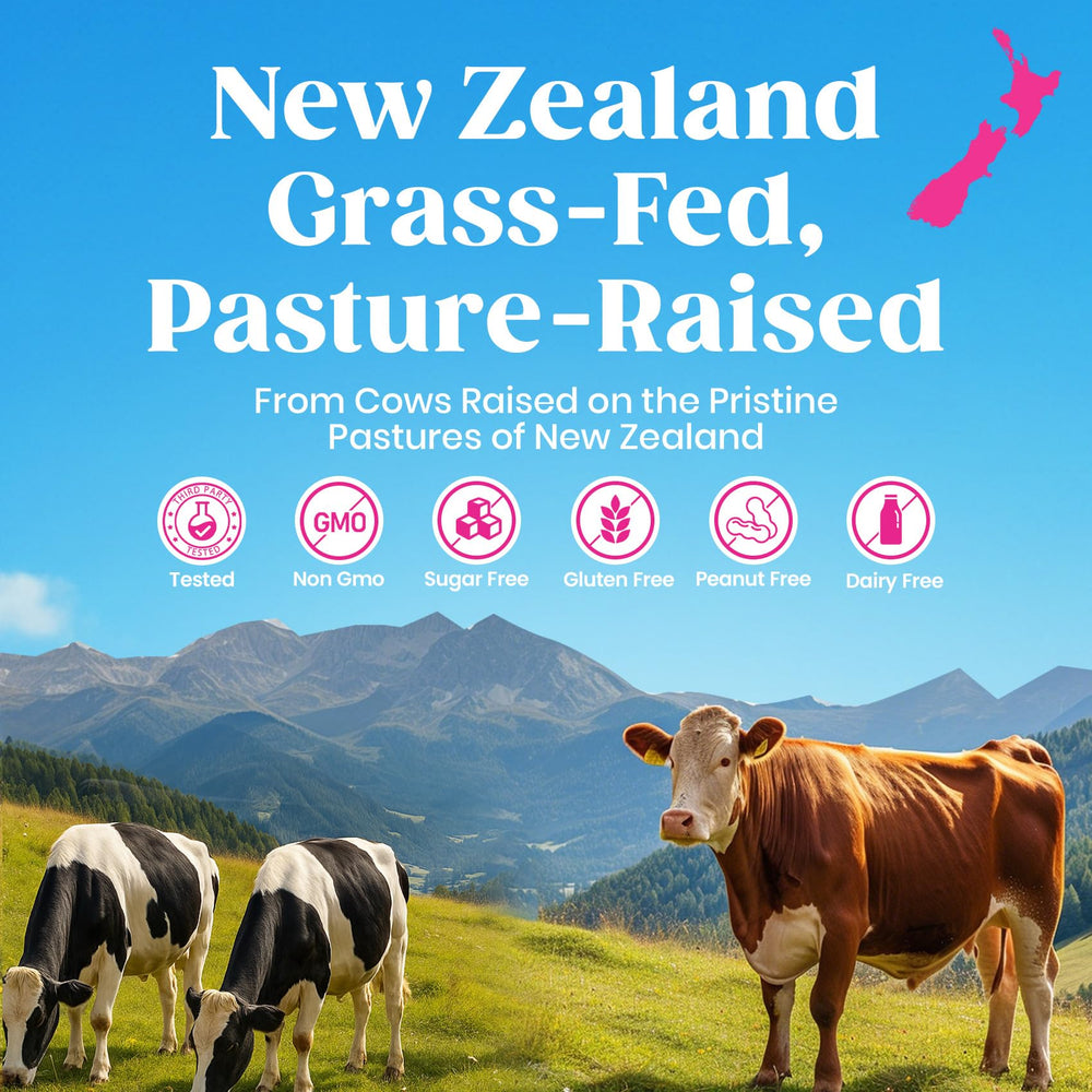 Venture Pal unflavored collagen powder stirred into yogurt for versatile nutrition.