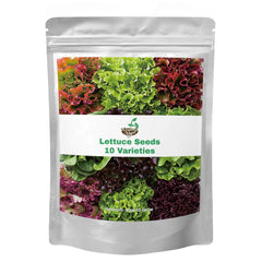 Verdant Vigor lettuce seeds collection packets for home gardening