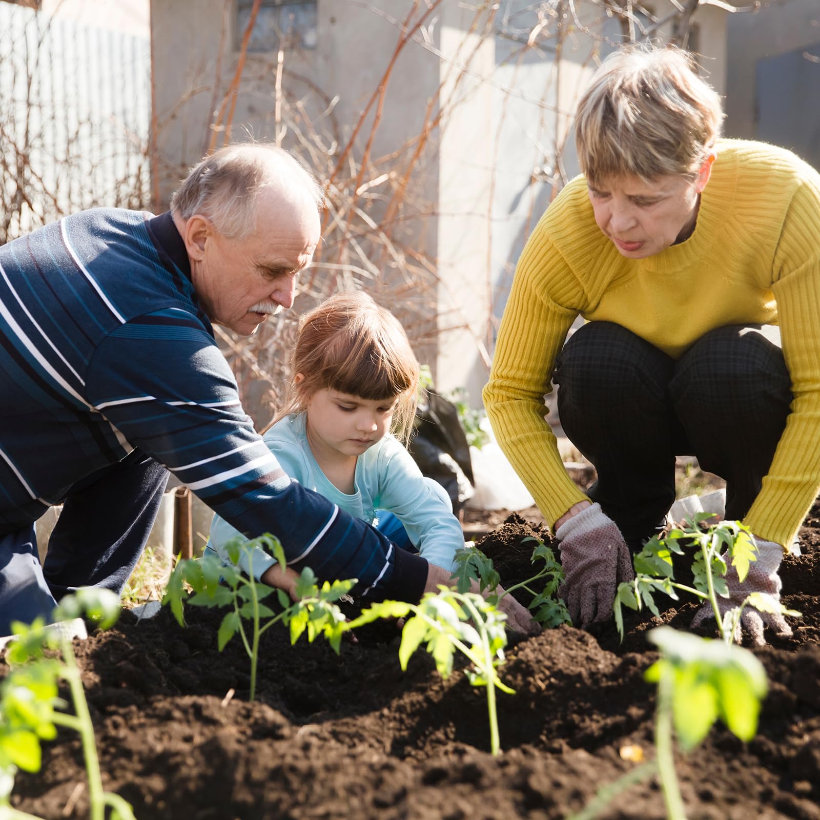 Verdant Vigor plant markers included to label varieties and track growth
