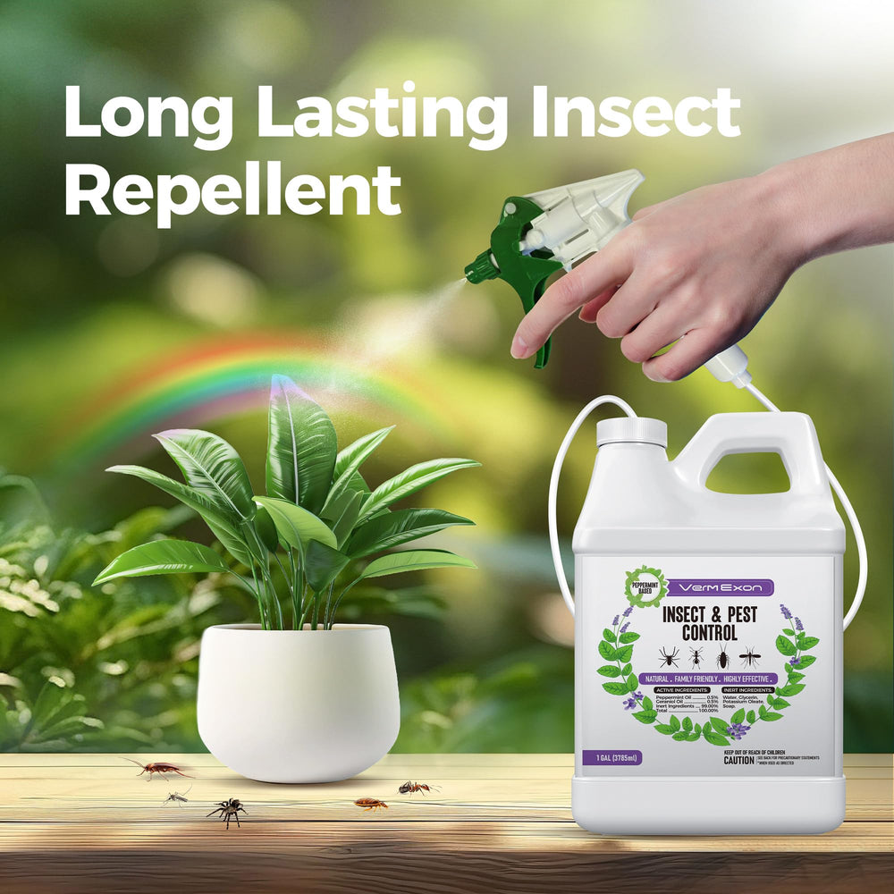 VermExon peppermint spray mist application shows broad pest reach
