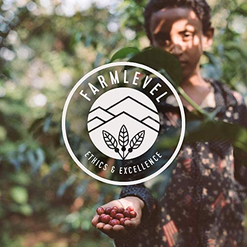 Verve Coffee Roasters Sermon Blend ideal for French press brewing
