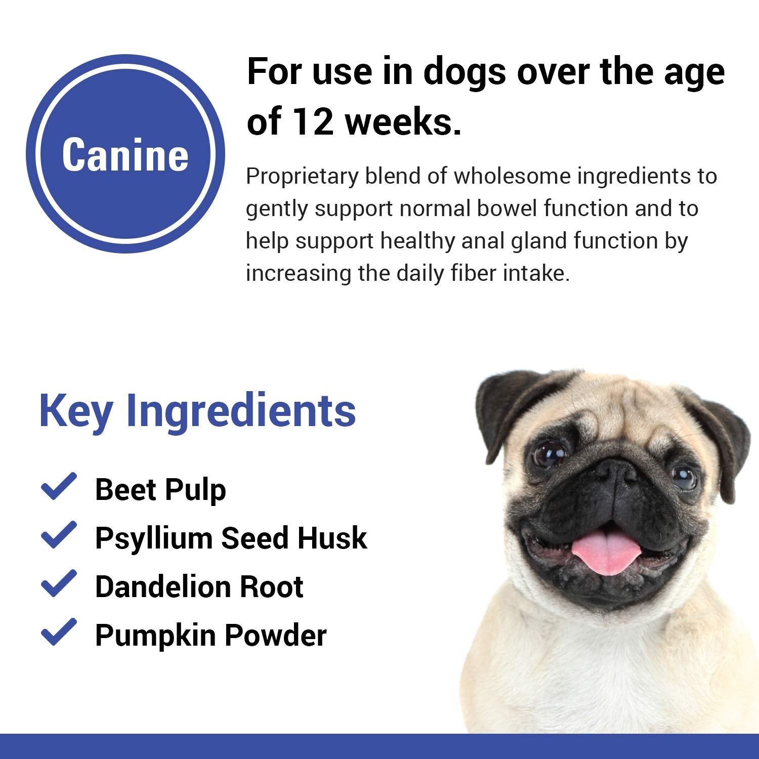 Vet Classics No Scoot psyllium husk graphic suggests gentle bowel support