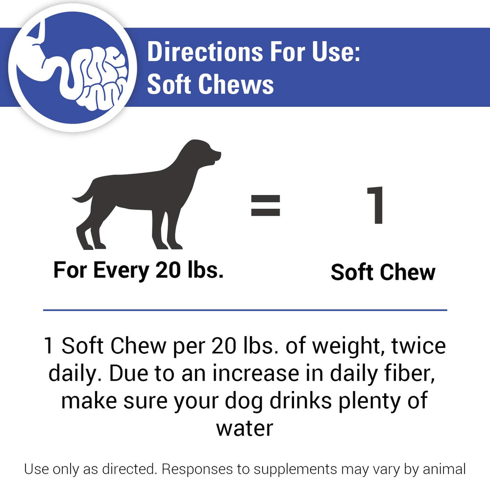 Vet Classics No Scoot senior dog use scene suggests suitability for older pets