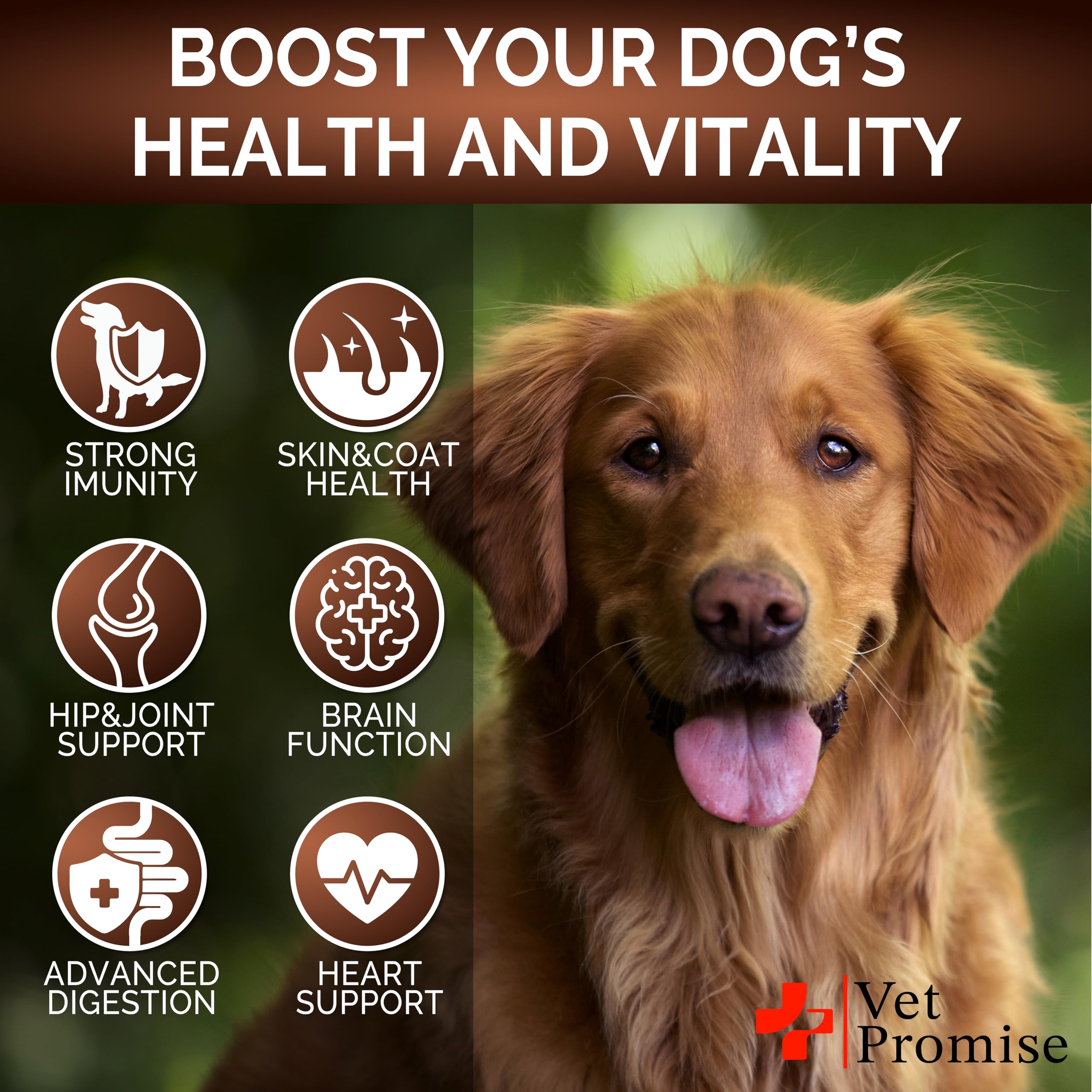 Vet Promise 30-in-1 dog mushroom multivitamin for overall wellness.