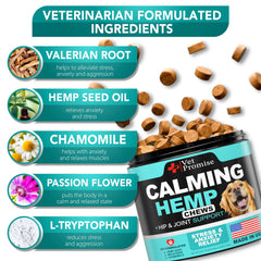 Vet Promise Advanced Calming Chews dog relaxed on couch showcases peaceful behavior.