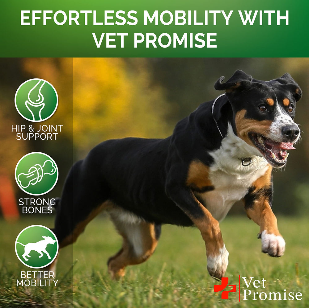 Dog enjoying Vet Promise chew illustrating easy daily support for hips and mobility.