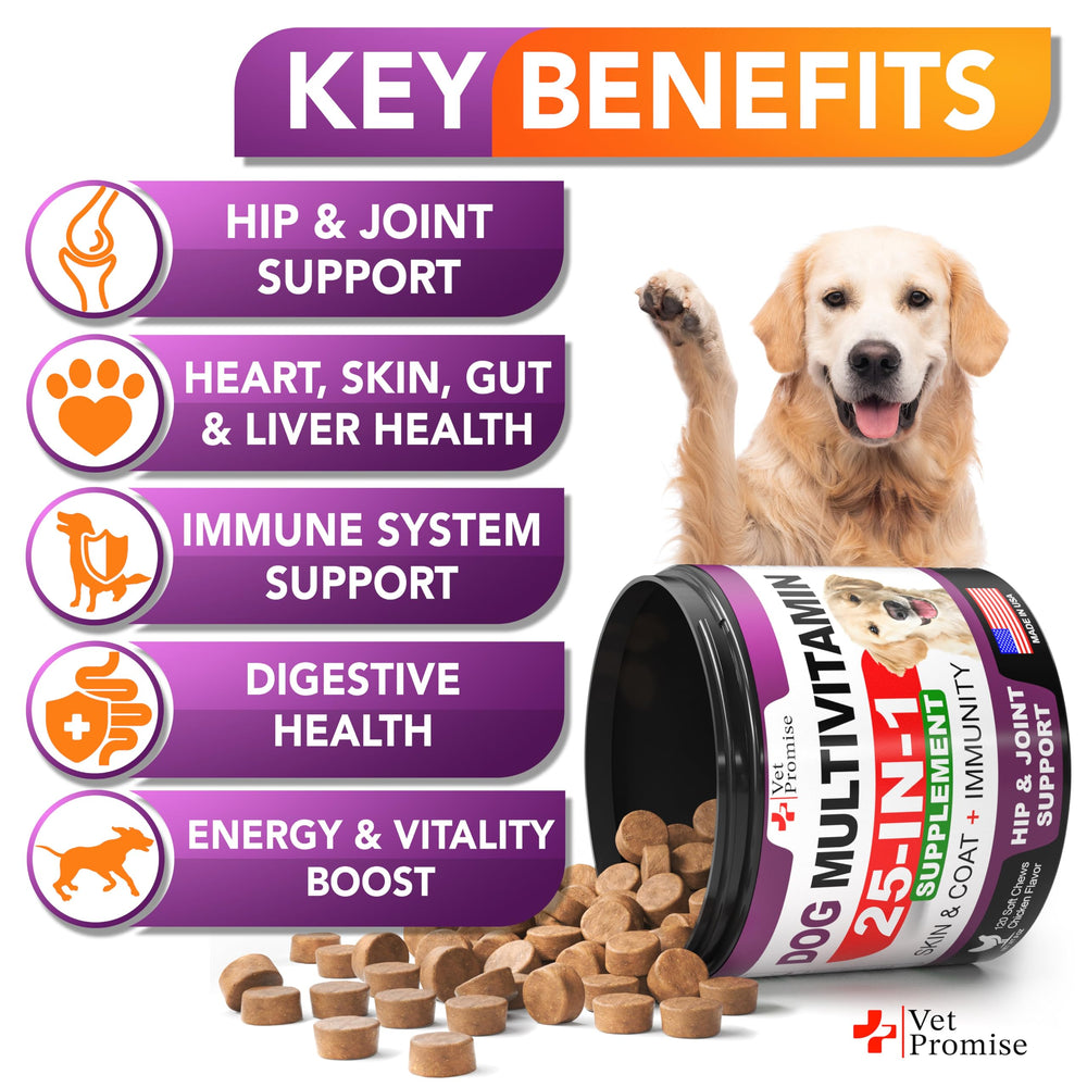Vet Promise dog multivitamin chew label highlights 15-in-1 formula with glucosamine for mobility.