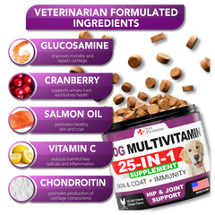 Vet Promise probiotics blend chews closeup signals gut health support for dogs.