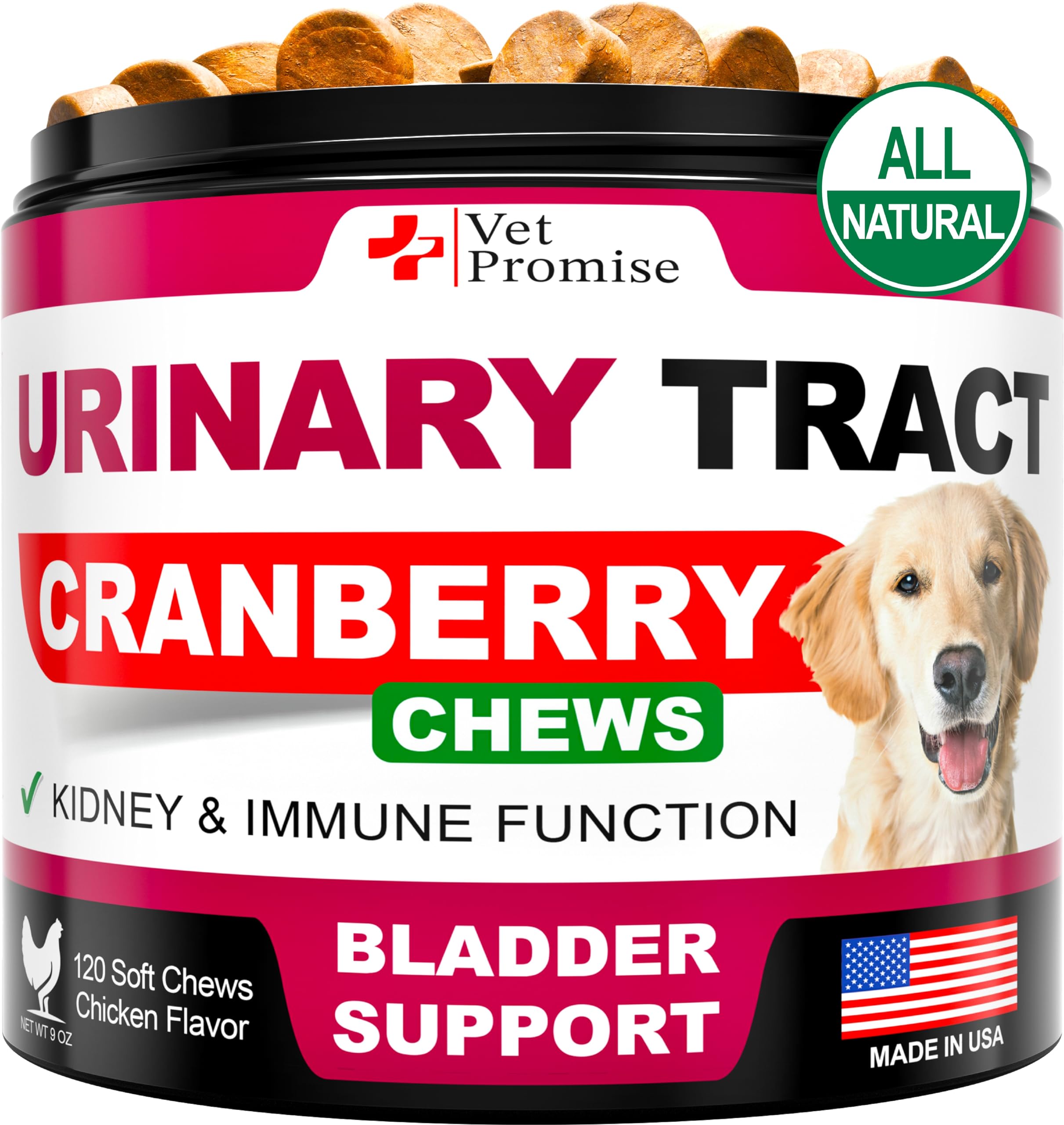 Vet Promise Dog UTI Chews bottle front showing cranberry blend for urinary support.