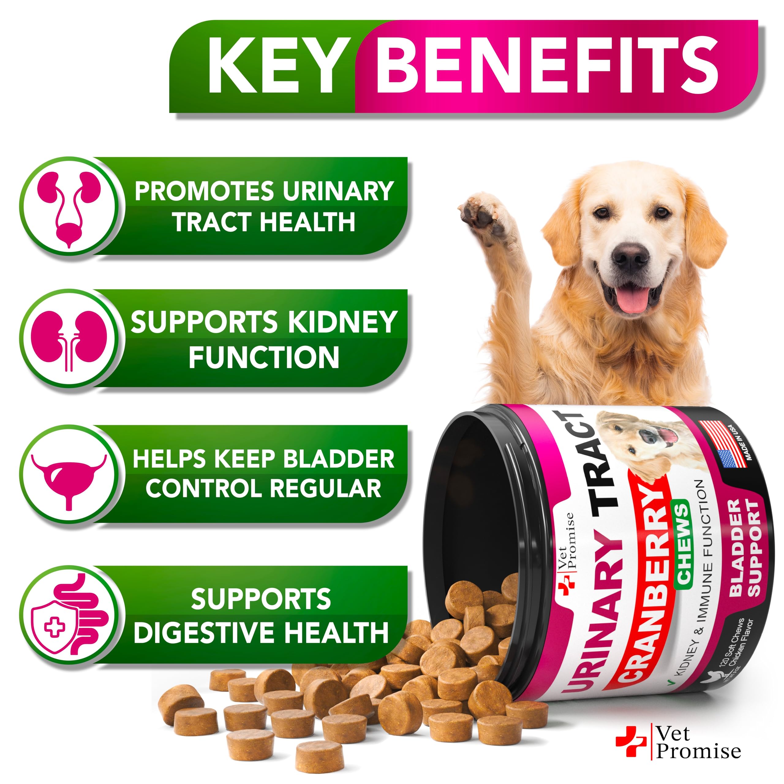 Vet Promise Dog UTI Chews packaging closeup highlighting USA-made vet-formulated cranberry benefits.