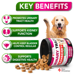 Vet Promise Dog UTI Chews packaging closeup highlighting USA-made vet-formulated cranberry benefits.