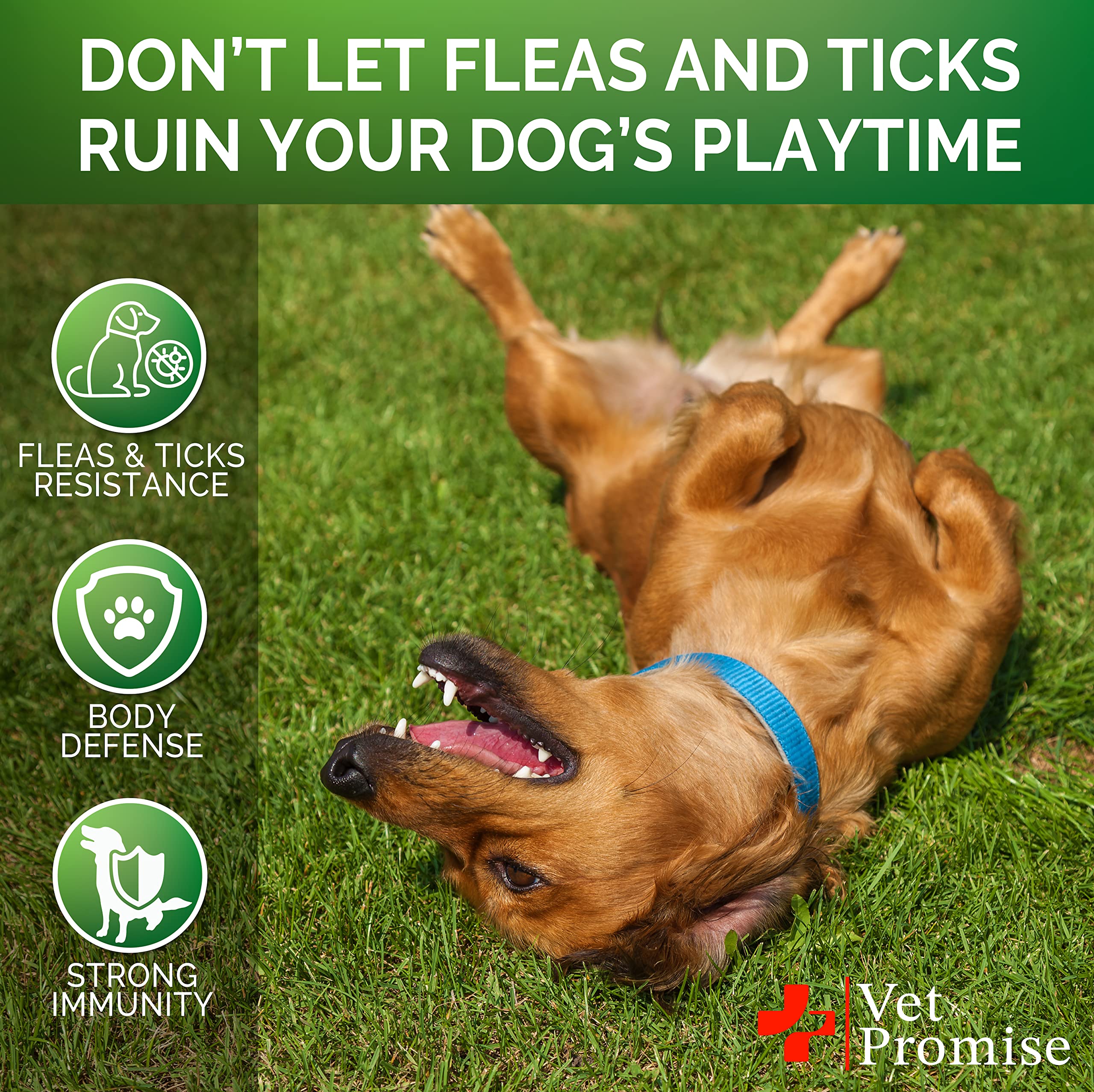 Vet Promise dog with chews demonstrating easy daily use
