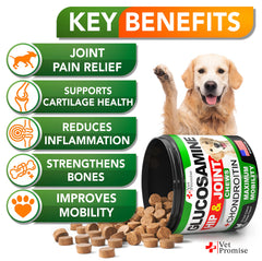 Vet Promise Glucosamine for Dogs chews close-up shows tasty texture for daily use.