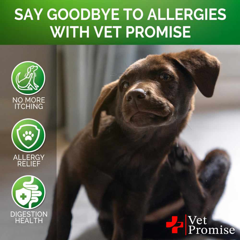 Vet Promise Dog Allergy Relief Chews support immune health and balanced gut flora.