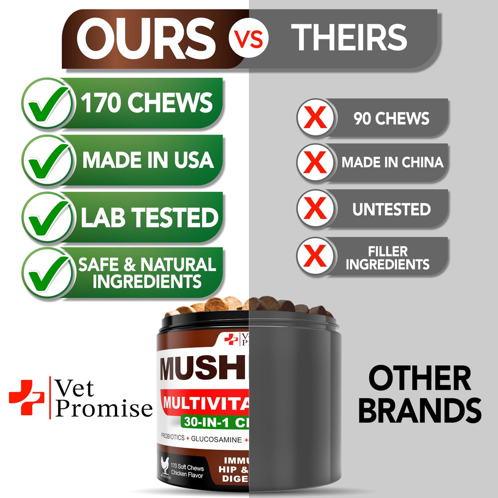 Vet Promise nutrition panel with mushrooms for dogs' joint and skin wellness.