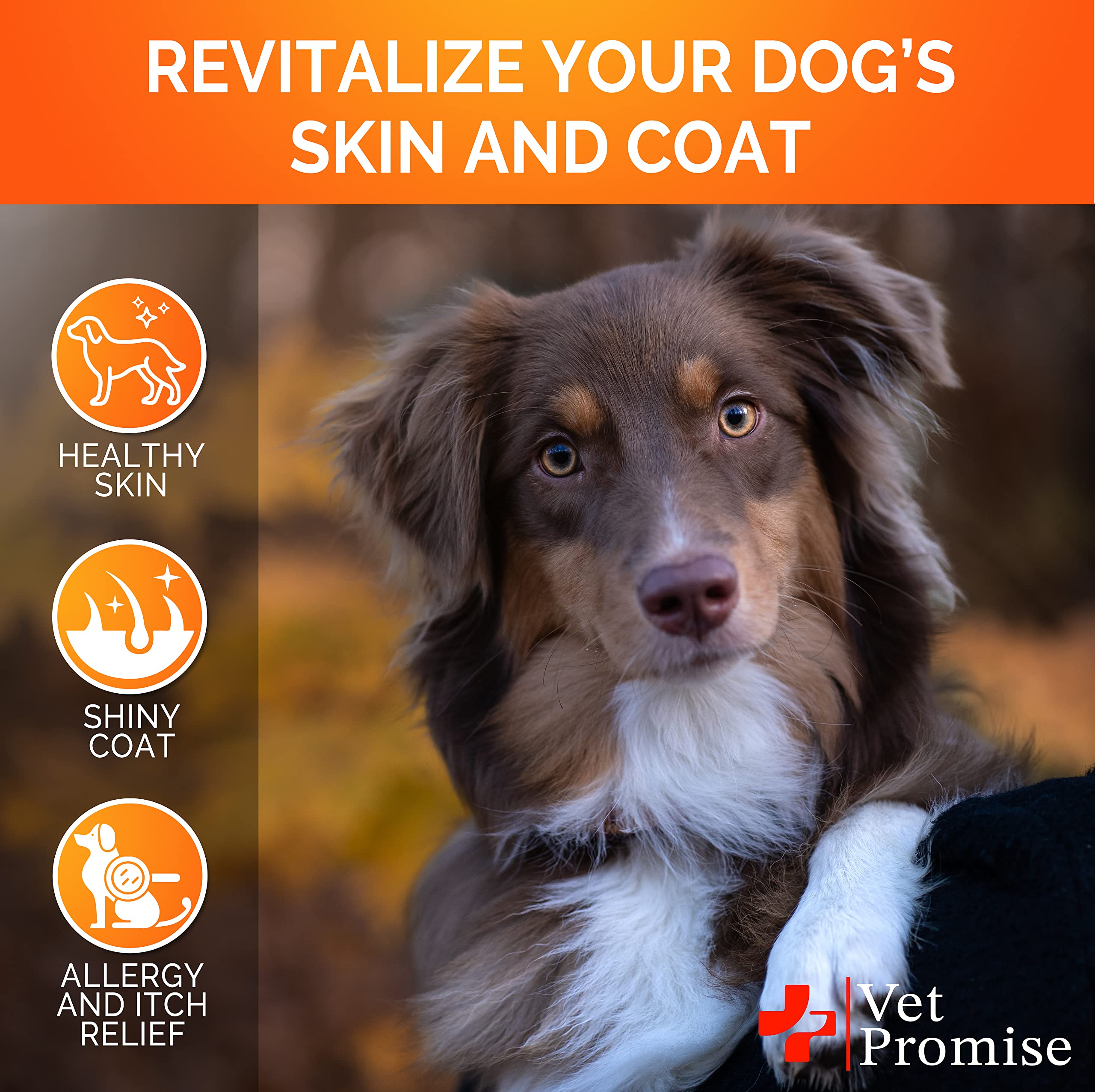 Vet Promise omega-3 chews with premium natural ingredients for skin support.
