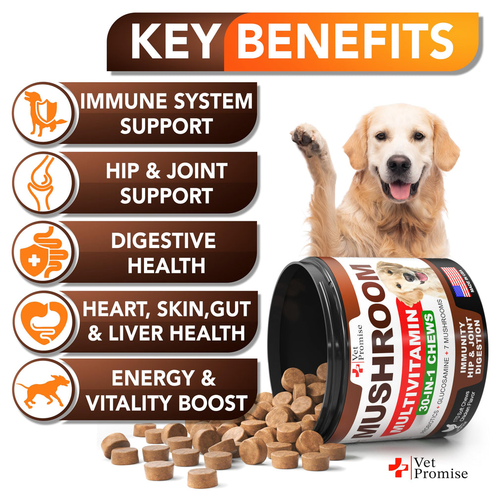 Vet Promise omega-3 salmon oil dog chews supporting healthy skin and coat.