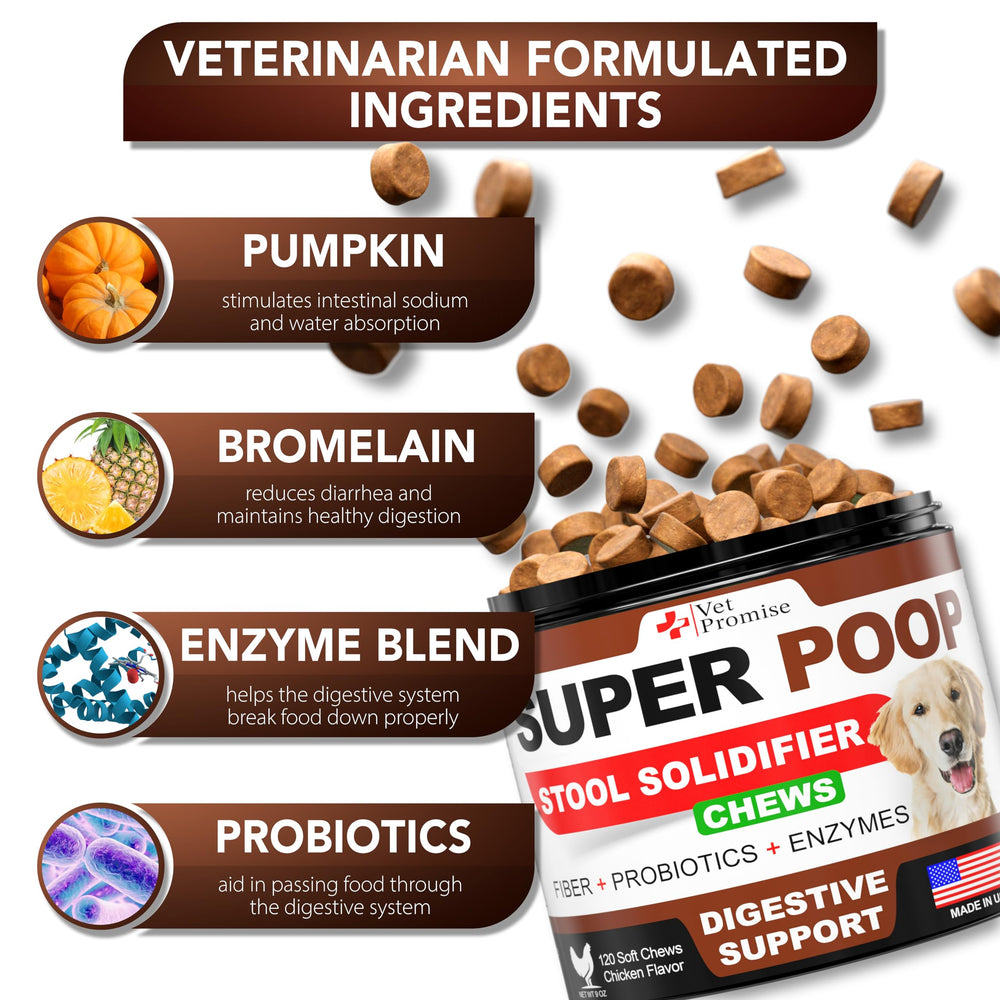 Dog bowl with Vet Promise chews ready to serve supports balanced digestion.