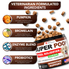 Dog bowl with Vet Promise chews ready to serve supports balanced digestion.