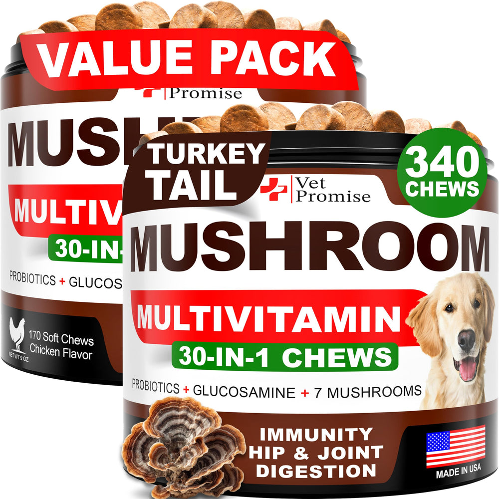 Vet Promise Turkey Tail dog mushroom chews promoting immune support.