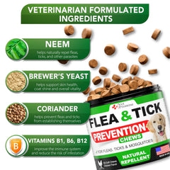 Vet Promise USA-made chews close-up highlighting safety and quality