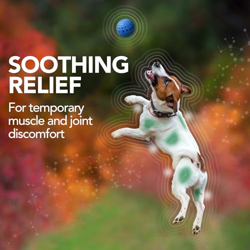 Close-up of Vet’s Best chewable tablets for dogs