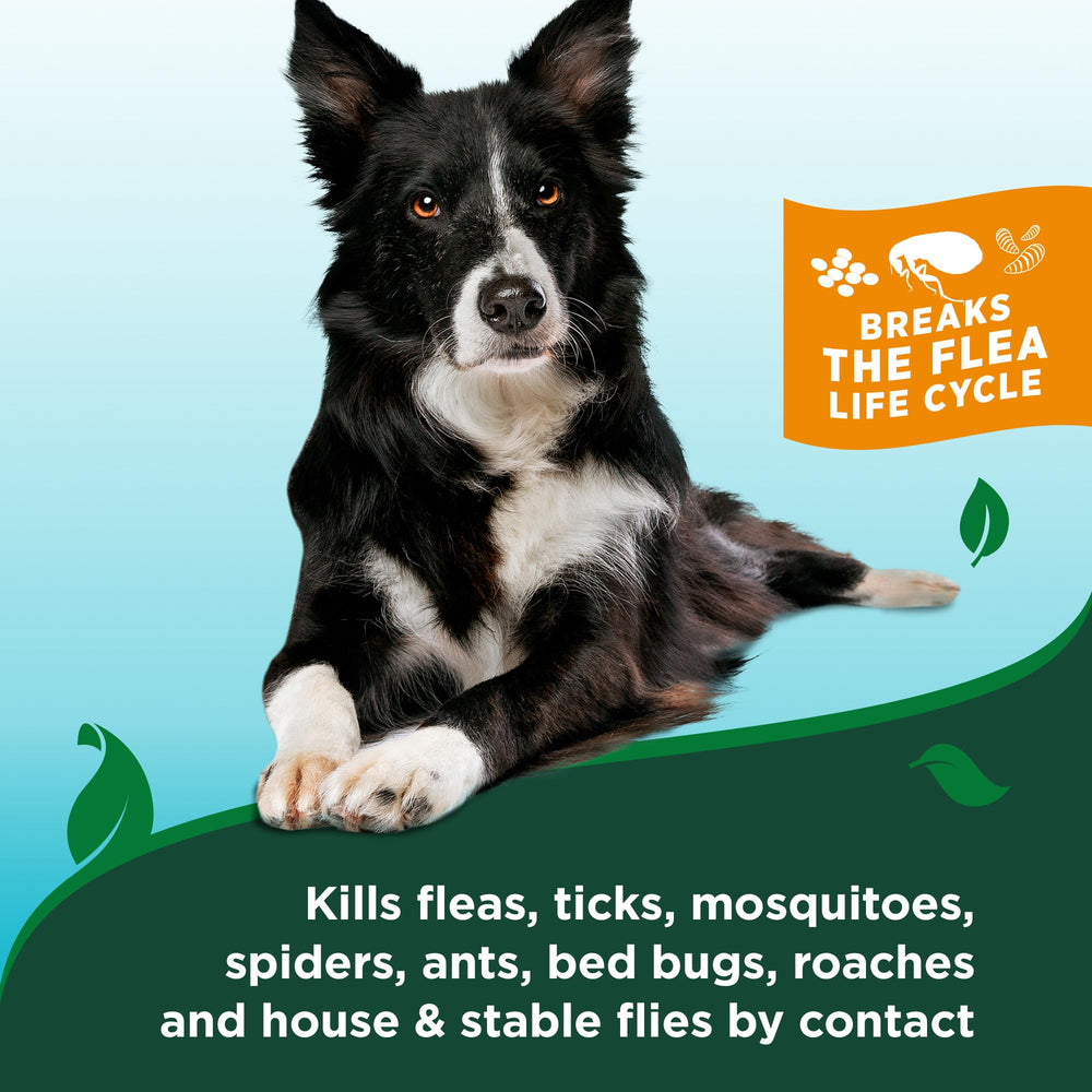Active essential oils in Vet's Best providing a fresh scent.