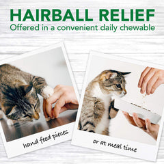 Vet's Best Cat Hairball Relief features psyllium seed for smoother transit