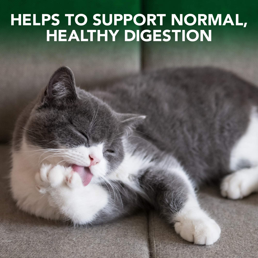 Vet's Best Cat Hairball Relief slippery elm herb visual for digestion support