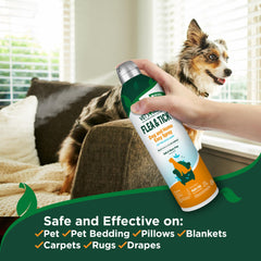 Close-up of Vet's Best natural oil blend with clove and peppermint ingredients.