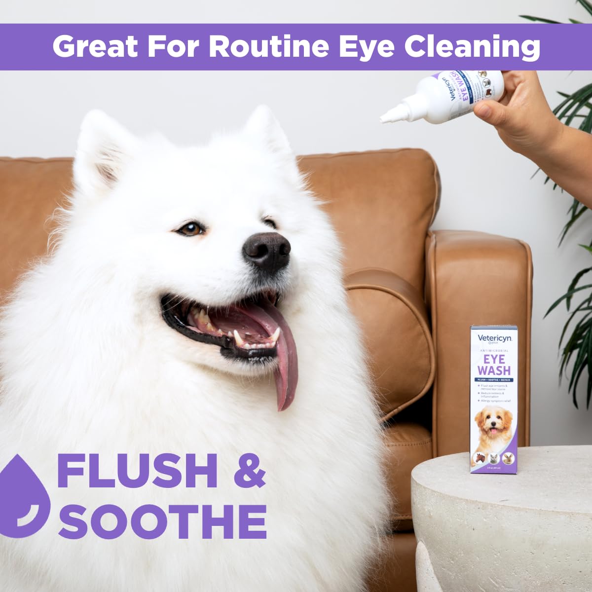 Tear stain cleaning with Vetericyn Plus Eye Wash on a pet fur