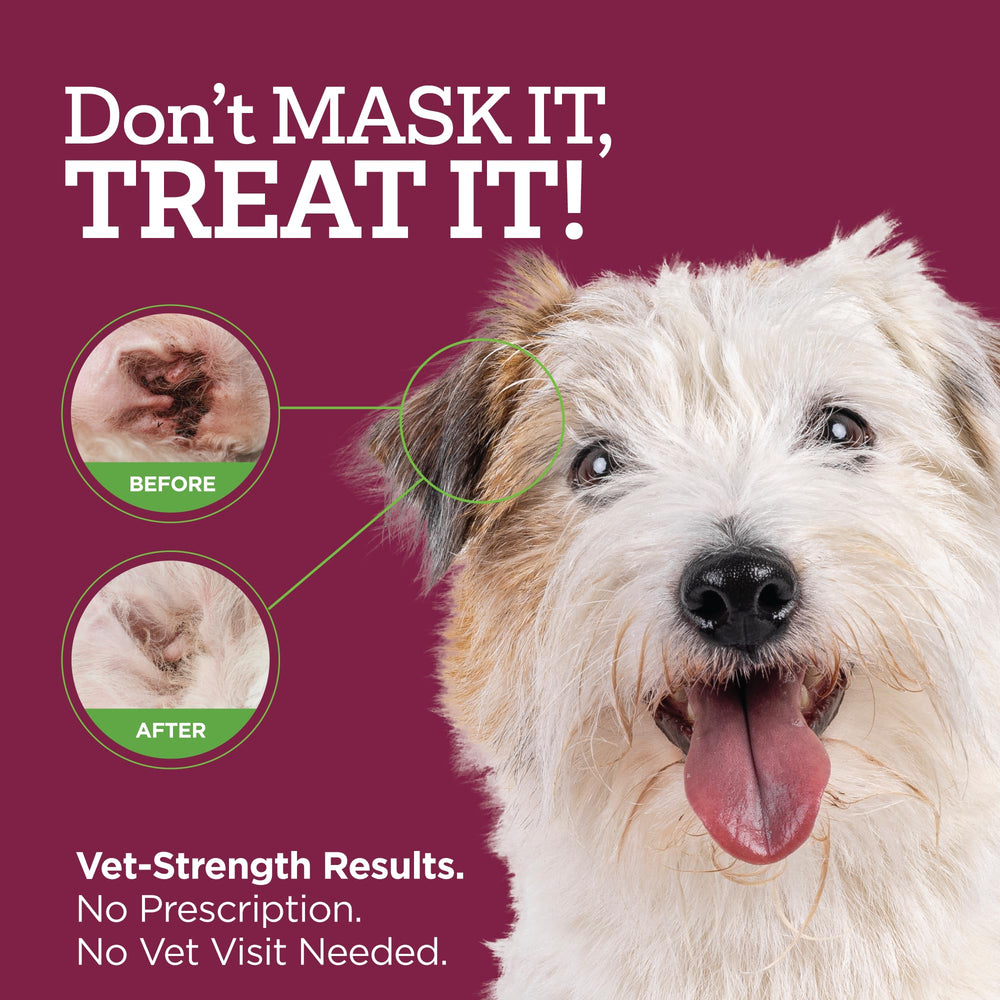 Vetality Comfort Tube applicator closeup ideal for gentle ear application