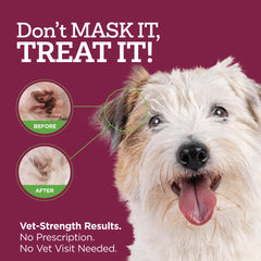Vetality Comfort Tube applicator closeup ideal for gentle ear application
