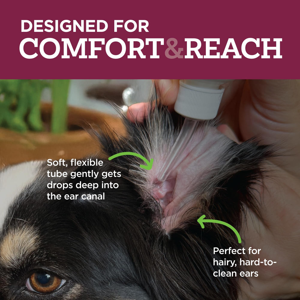 Vetality otic-drops application step image demonstrates pet ear care routine