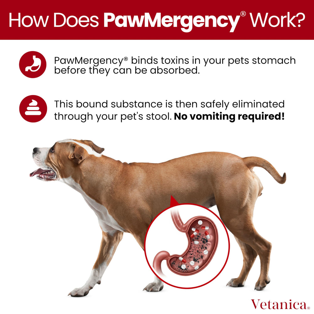 Universal pet support for dogs and cats.