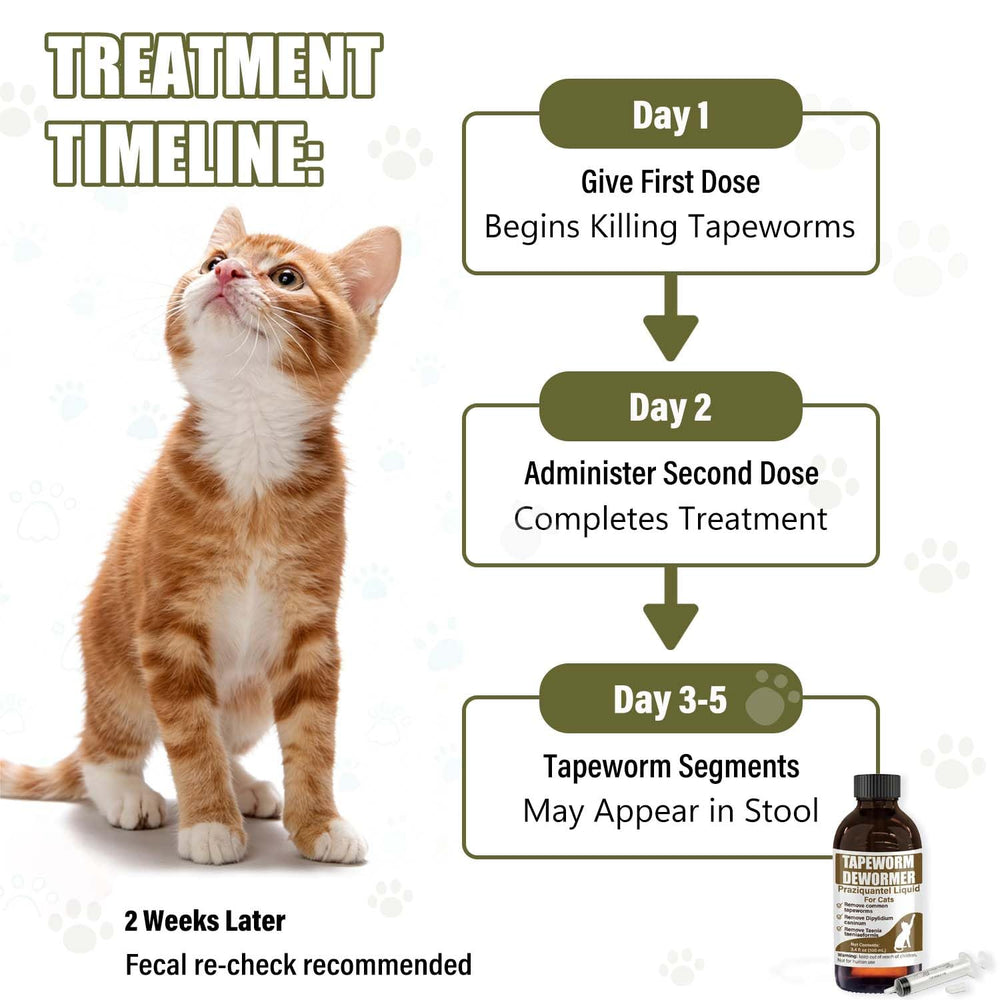 VetaSure cat digestive comfort supporting daily well-being