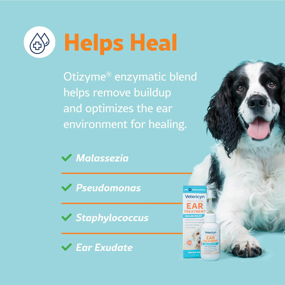 Dog ear infection relief application demonstrated on a paw