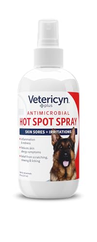 Applying Vetericyn Plus hot spot spray to a dog's skin for itch relief