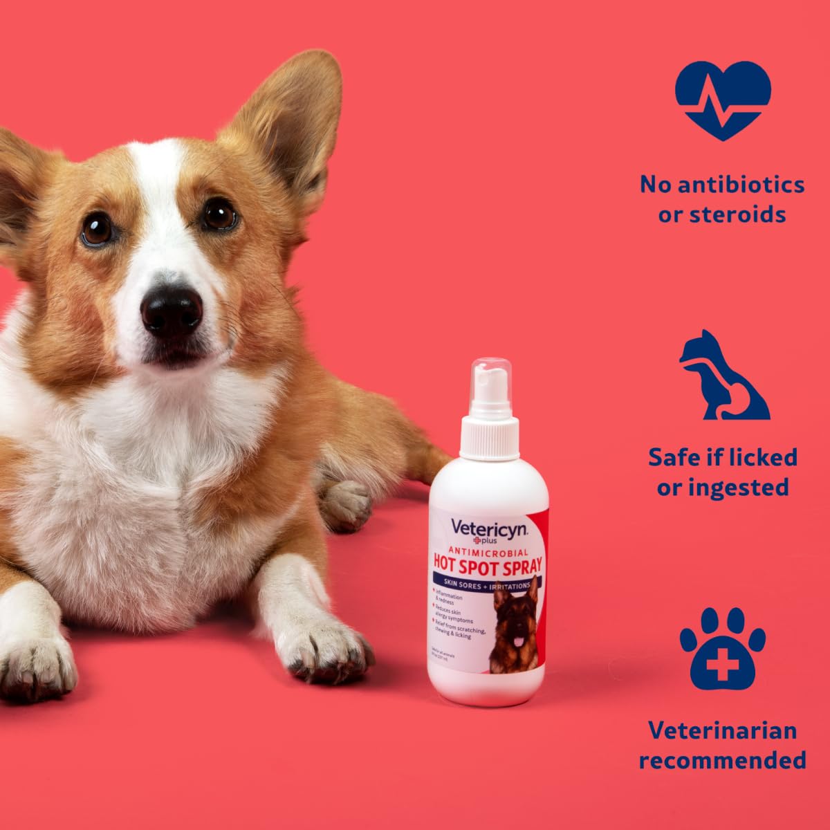 Mist from Vetericyn Plus spray dispersing over pet fur during hotspot care