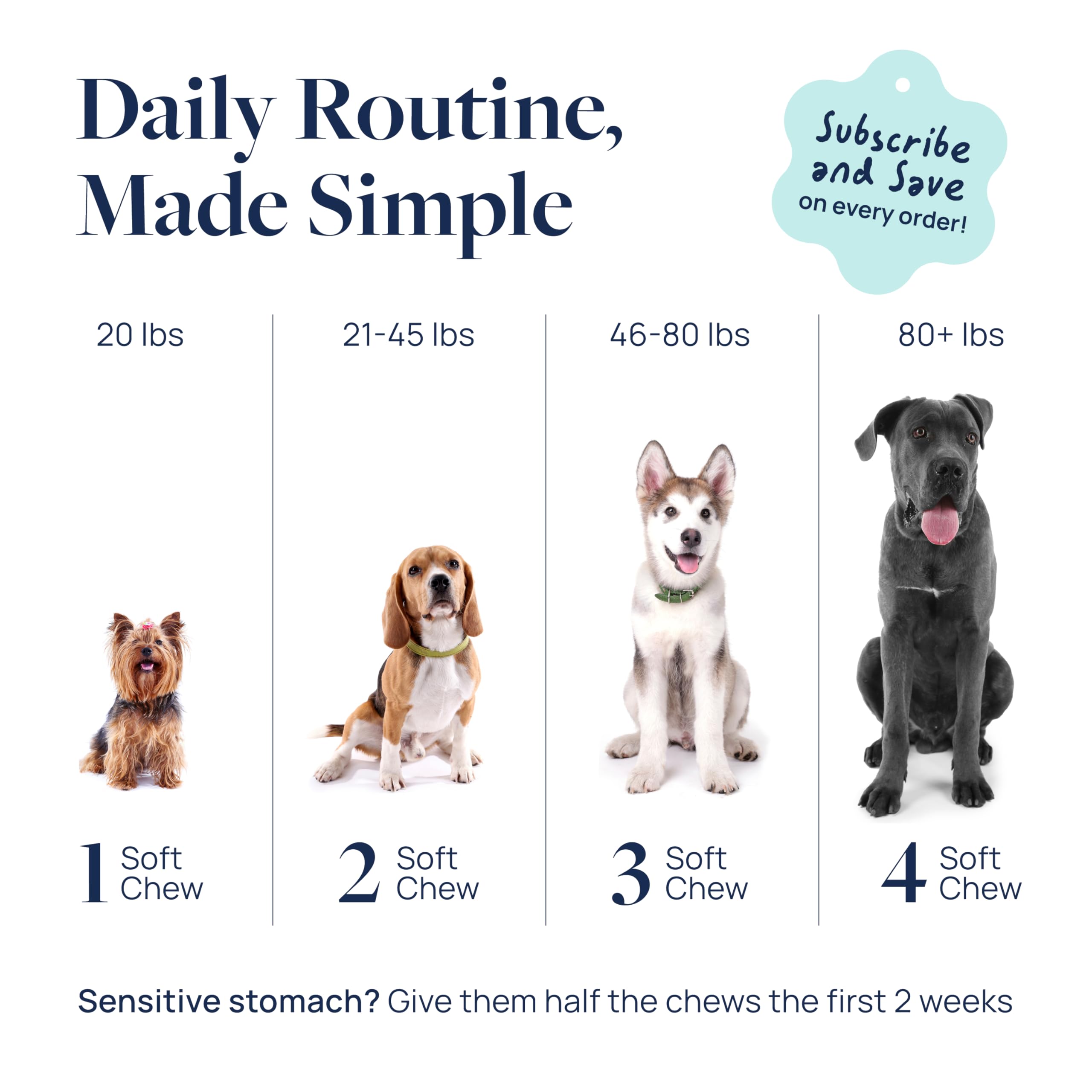 Size variety shown to represent suitability for all dogs using Veterinary Formula Anal Gland Support.