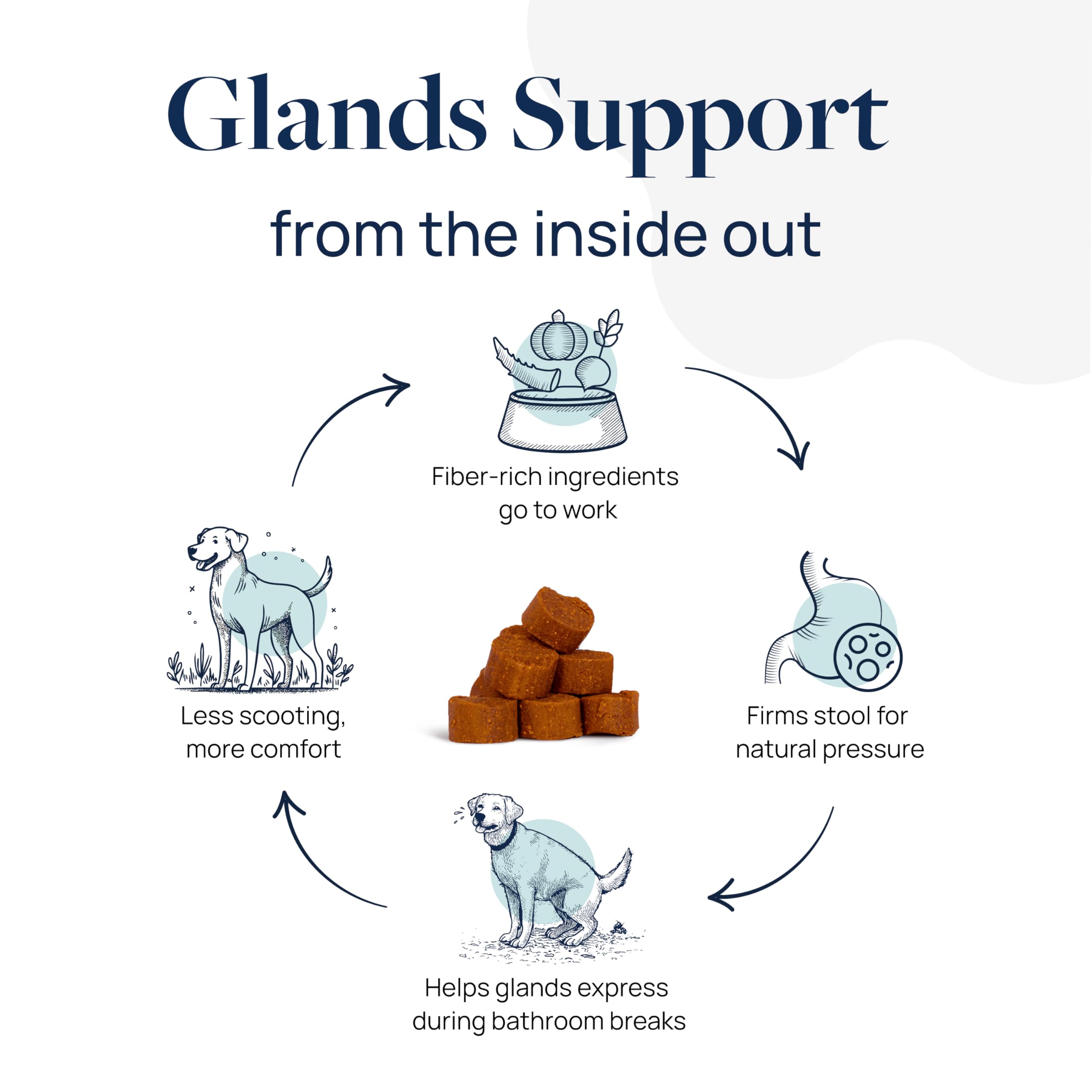 Ginger component display within Veterinary Formula Anal Gland Support for gut comfort.