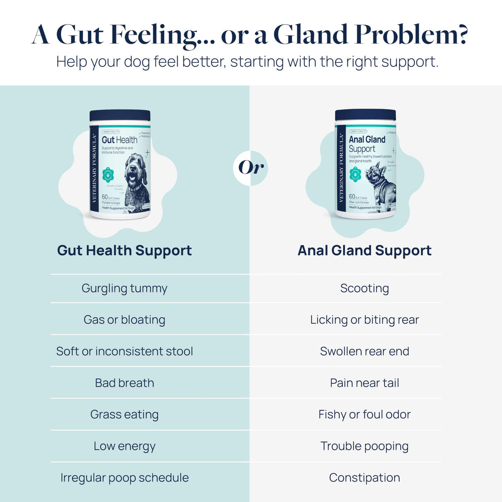 Inulin and probiotic blend in Veterinary Formula Anal Gland Support supports healthy gut.