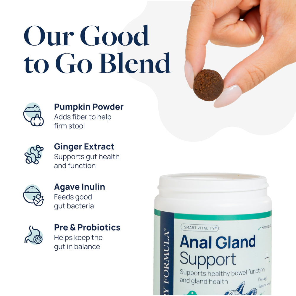 Pumpkin ingredient shows fiber-rich option in Veterinary Formula Anal Gland Support.