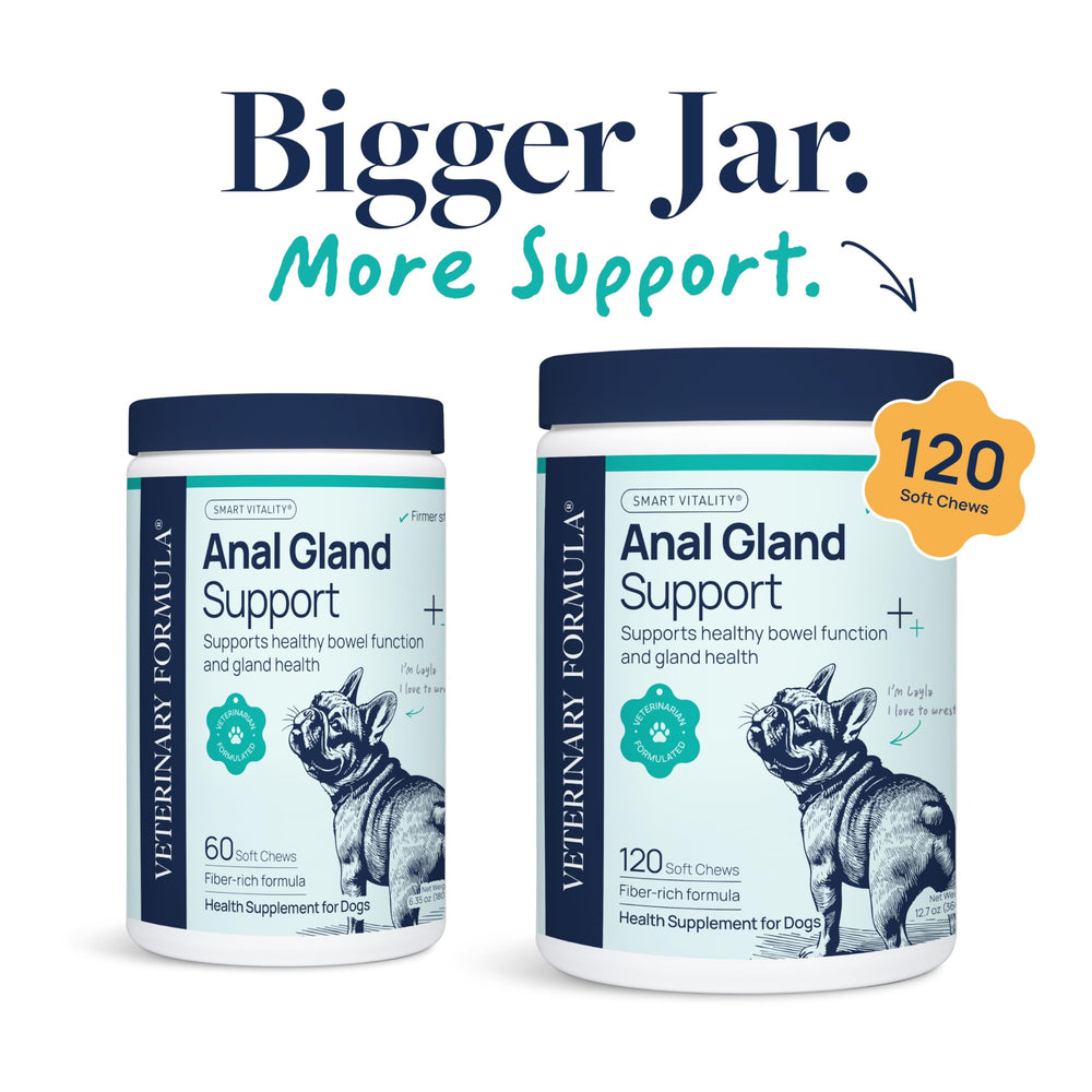 Close-up of Veterinary Formula Anal Gland Support soft chews highlighting tasty texture for daily use.