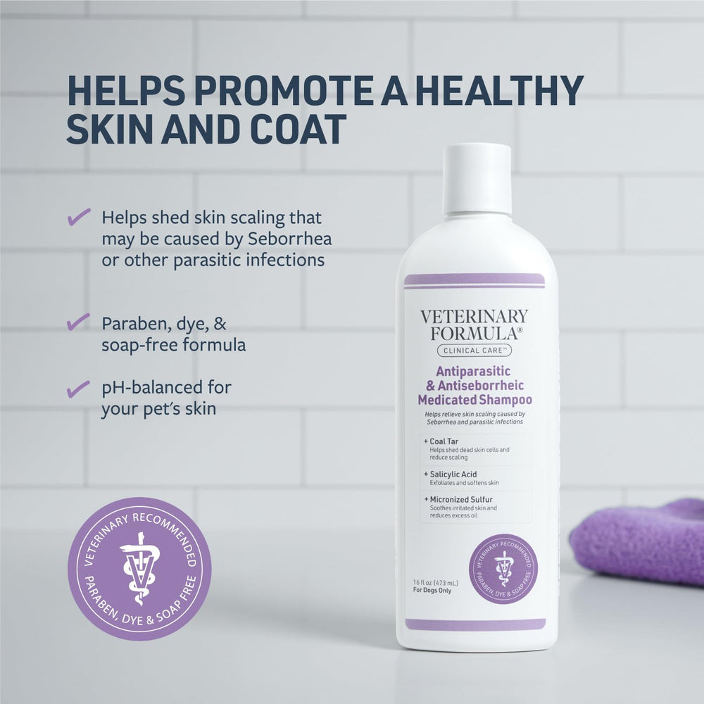 Shampoo lather spreading through a dog's coat