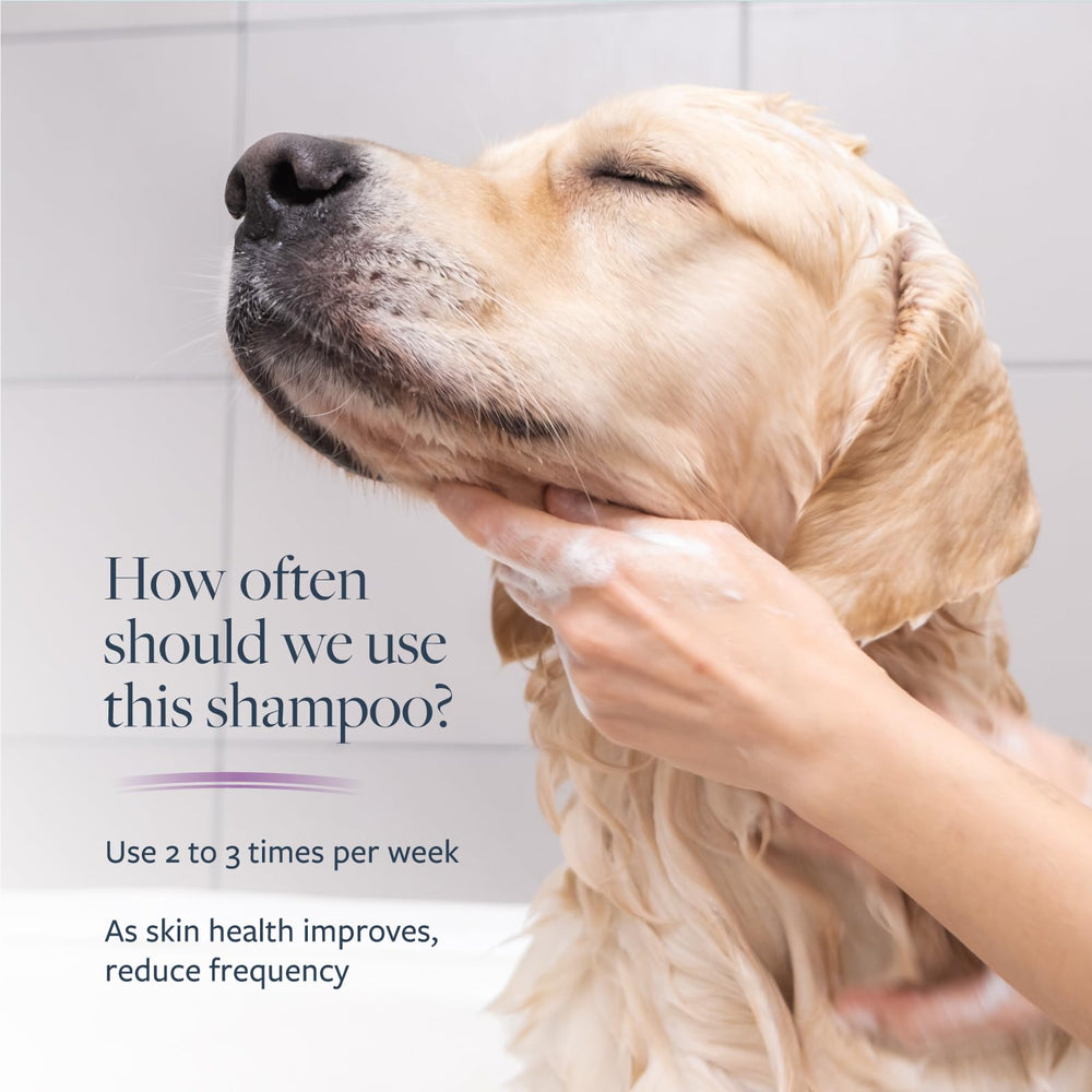 Oatmeal and allantoin in the formula hydrate the dog's skin
