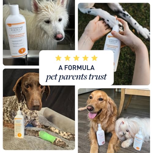 Between-bath care with Veterinary Formula Clinical Care spray.